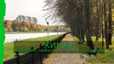 Химки (Россия) главное о городе | Найди идеальное место для жизни