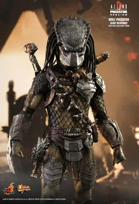 Купить фигурку Хищника Волка от Hot Toys AvP Requiem 1/6 Wolf Predator |  Джей Той