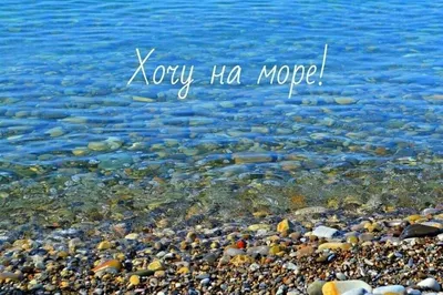 Хочу на море — прикольные фото с моря