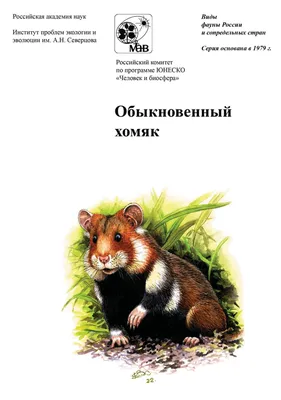 В Одесской области в дикую природу выпустили хомяков из Киевского зоопарка  | Новини.live