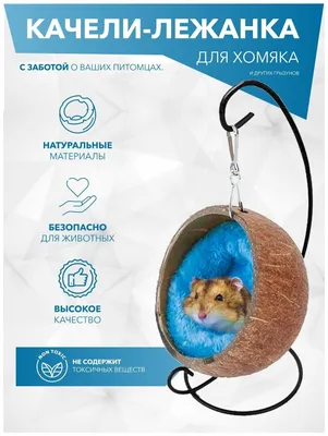 Игрушки для хомяка, подвесной гамак для грызунов, качели — купить в  интернет-магазине по низкой цене на Яндекс Маркете