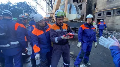 Краснодарский спасатель приютил хомяка, найденного на месте крушения Су-34  в Ейске