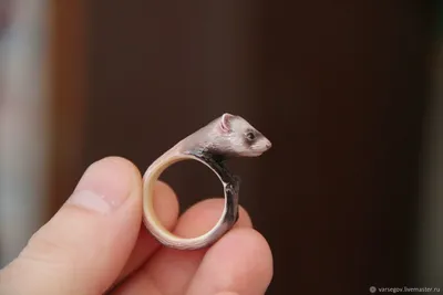 Кольцо Хорек/ Хорь/ Хорьки/ Для Хорьков/ Ferret/ Ferret Ring – купить на  Ярмарке Мастеров – F5HQ5RU | Кольца, Куженер | Хорьки, Кольца, Вязание на  пальцах