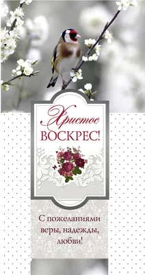 Открытка 10х20 - Христос воскрес! (двойная), 59.00 Р - христианские книги и  подарки