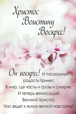 Пин от пользователя Wiktoria на доске День народження і нетільки |  Пасхальная открытка, Пасхальные открытки, Христианские цитаты