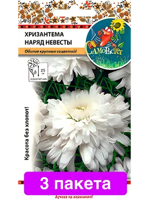 Хризантема махровая Платье невесты (2 шт.) — купить в интернет-магазине по  низкой цене на Яндекс Маркете