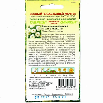 Семена цветы хризантема букетная Платье Невесты купить по цене 35 ₽ в  интернет-магазине KazanExpress