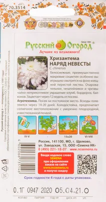 Семена Хризантема букетная «Торжество» в Хабаровске – купить по низкой цене  в интернет-магазине Леруа Мерлен