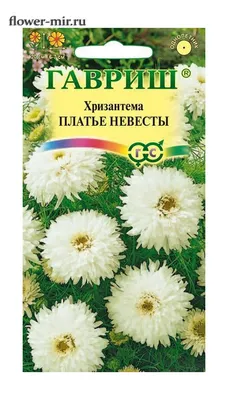 Купить семена Хризантема Платье невесты в Минске и почтой по Беларуси