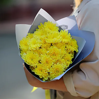 5 желтой кустовой хризантемы - 33034 букетов в Москве! Цены от 707 руб.  Зеленая Лиса , доставка за 45 минут!