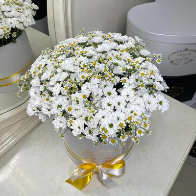 Кустовые хризантемы с ромашками в коробке | Бесплатная доставка цветов по  Москве