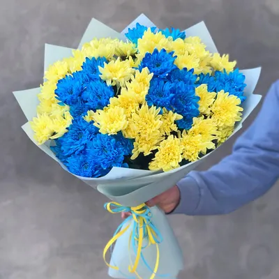 Букет из жёлтой и синей хризантемы, 15 шт купить в Киеве: цена, заказ,  доставка | Магазин «Камелия»