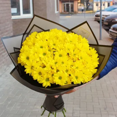 Букет из желтой хризантемы с Доставкой по Выгодной Цене в Краснодаре