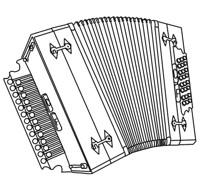Баян Аккордеон Гармонь: Гармонь хромка 2х-тональная