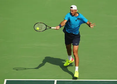 Хуан Мартин дель Потро - статусы в теннисе на Sports.ru