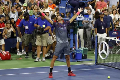 Теннисист Хуан Мартин дель Потро объявил о прекращении своей карьеры | ИА  Красная Весна