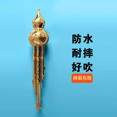 Китайский язычковый инструмент Хулусы с доставкой из Китая: цена, фото,  отзывы на t-b.ru.com
