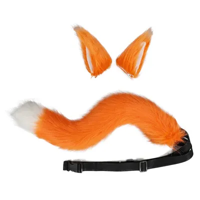 Лиса :: tail :: animals :: fox :: хвост :: живность :: fandoms :: фэндомы /  картинки, гифки, прикольные комиксы, интересные статьи по теме.