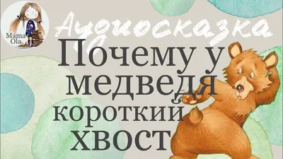 Медведи Хвостик и Носик пробудились после зимней спячки | Blog Fiesta