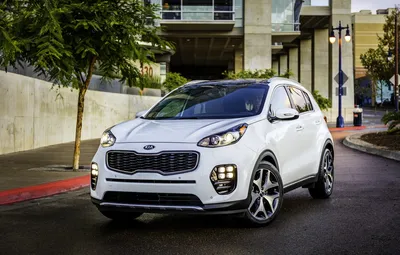 Обои Kia, киа, кроссовер, Sportage, спортейдж картинки на рабочий стол,  раздел kia - скачать