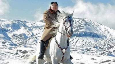 Статья: Ким Чен Ын верхом на величественном белом коне — идеальные обои. Не @ меня.