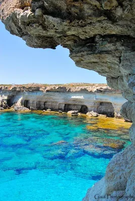 Кипр природа - фото и картинки: 57 штук