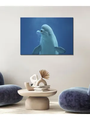Картина на холсте с подрамником ХитАрт кит белуха в воде 19 50x70 - купить  по низкой цене в интернет-магазине OZON (686951419)