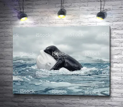 Картина \"Морской котика и кит Белуха \" | Интернет-магазин картин \"АртФактор\"
