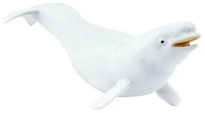 Реалистичный Белый Кит длиной 40 см, мягкая игрушка, реальная жизнь,  морское животное, Белуга, киты, плюшевые игрушки, подарки | AliExpress