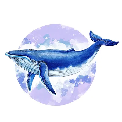 Синий кит рисунок для детей - 72 фото
