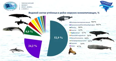 Иллюстрация Усатые киты в стиле детский, книжная графика |