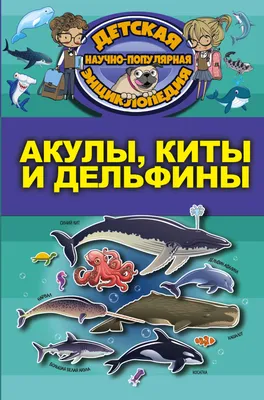 У берегов США акулы разорвали на клочки тушу кита (ВИДЕО): читать на  Golos.ua