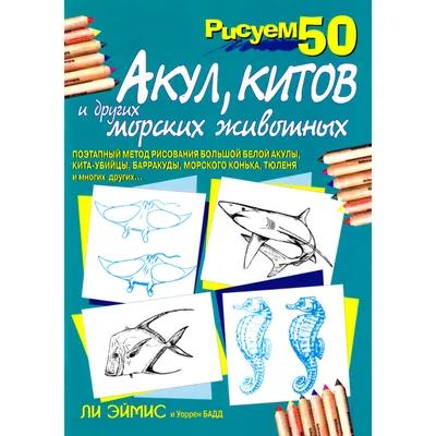 Морские обитатели, набор деревянных игрушек “Касатка, Кит, Акула и Дельфин”  – ForestMelody