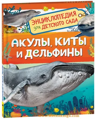 Реалистичные фигурки акул и китов Realistic Shark Whale Figures Winsenpro  (ID#1307743247), цена: 1699 ₴, купить на Prom.ua