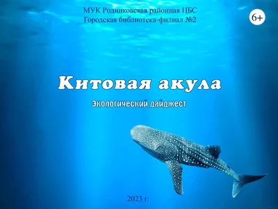 Плавание с китовыми акулами в Таиланде 2023