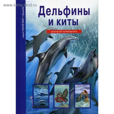 Ученые нашли микропластик в тканях китов и дельфинов | ИА Красная Весна