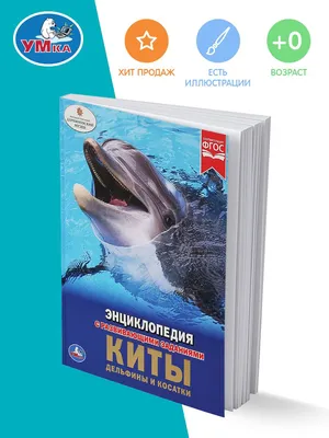 Почему дельфины, киты, рыбы, прыгают вверх из воды когда рядом нет  хищников, что это за рефлекс и для чего? | Пикабу