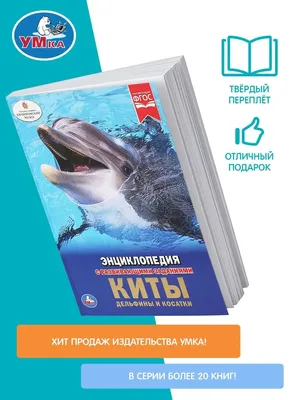 Вода России» поздравляет с Днем китов и дельфинов! - ВОДА РОССИИ