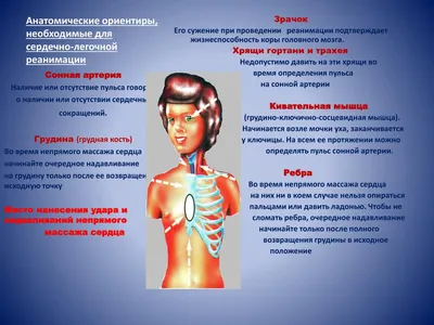 Расположение... - МАМР l Академия медицинской реабилитации | Facebook