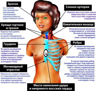 Рак щитовидной железы - симптомы, признаки.