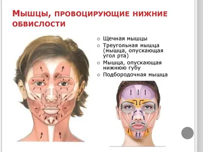 Биомеханика шейного отдела позвоночника. Статьи