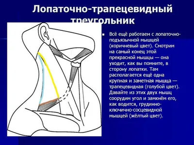 Кривошея у детей. Остеопатическое лечение 0+