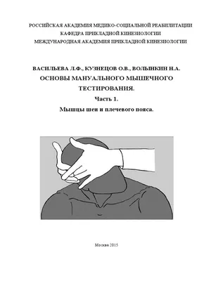 Биомеханика шейного отдела позвоночника. Статьи