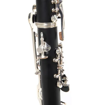 Roy Benson CG-200 B - кларнет | Купить в магазине Аудиомания