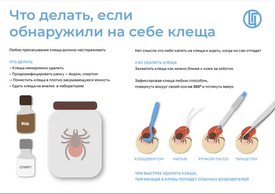Подкожный клещ на лице: лечение | WMJ.ru