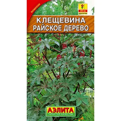 Купить Клещевина Райское дерево недорого по цене 24руб.|Garden-zoo.ru