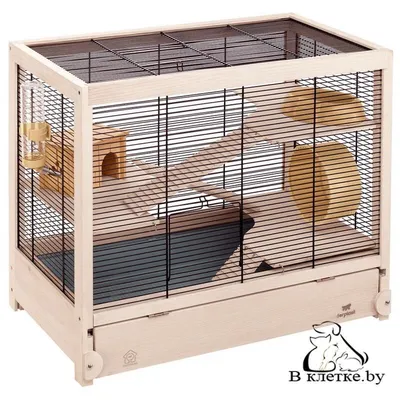 Клетка для хомяков и грызунов Ferplast MULTIPLA HAMSTER (57007217) купить