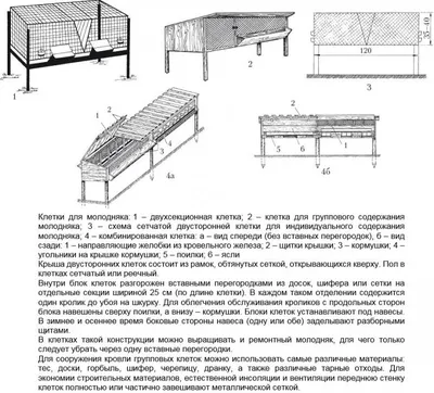 Клетки для кроликов своими руками: как сделать клетку для кроликов