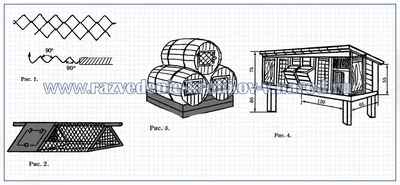 Клетка для перепелов своими руками: особенности изготовления | Chicken  cages, Backyard chicken coops, Rabbit cages