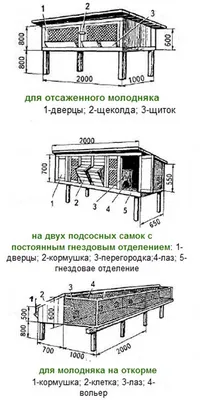 Клетки для кроликов. Мини-ферма своими руками (Чертежи новой модели клетки  Кроликовод-2) by Dmitry Titarenko - Issuu